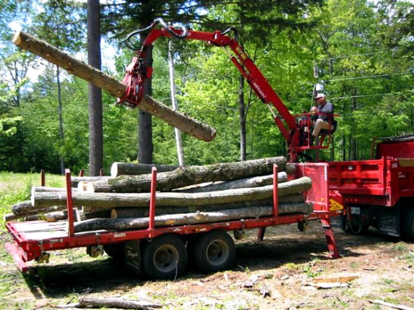 Tree Length Firewood